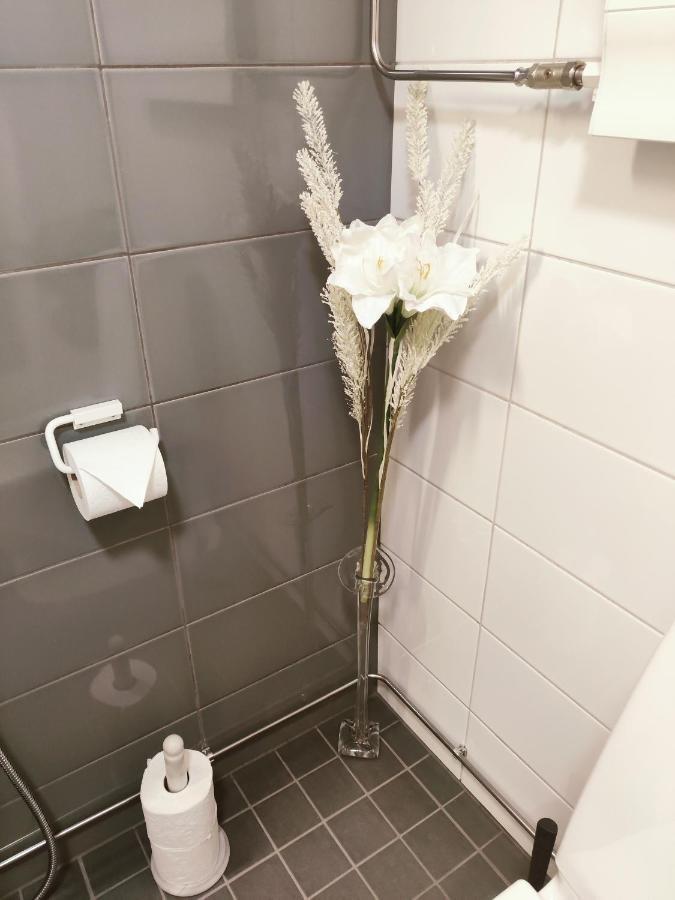 Joutjaerven Studio Apartment Lahti Buitenkant foto